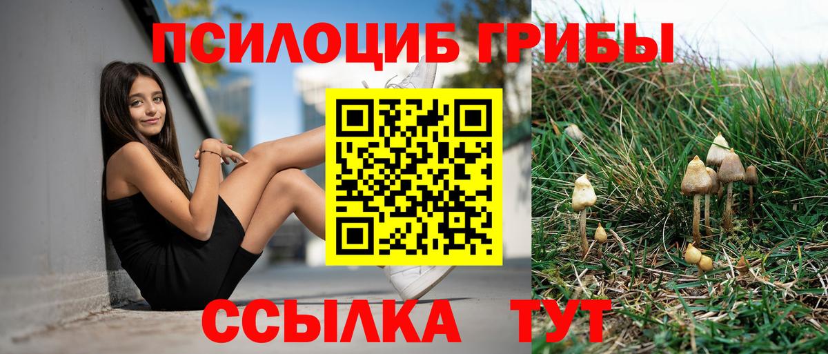 Псилоцибиновые грибы ЛСД  закладка  Казань  Вход с VPN 